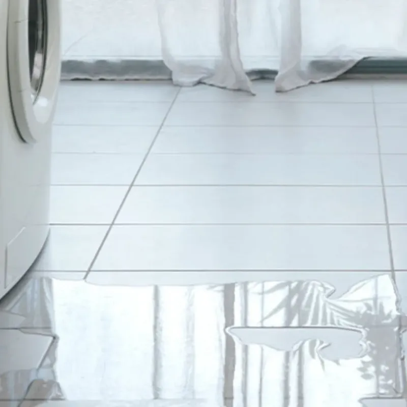 Appliance Leak Cleanup in La Mesa, CA