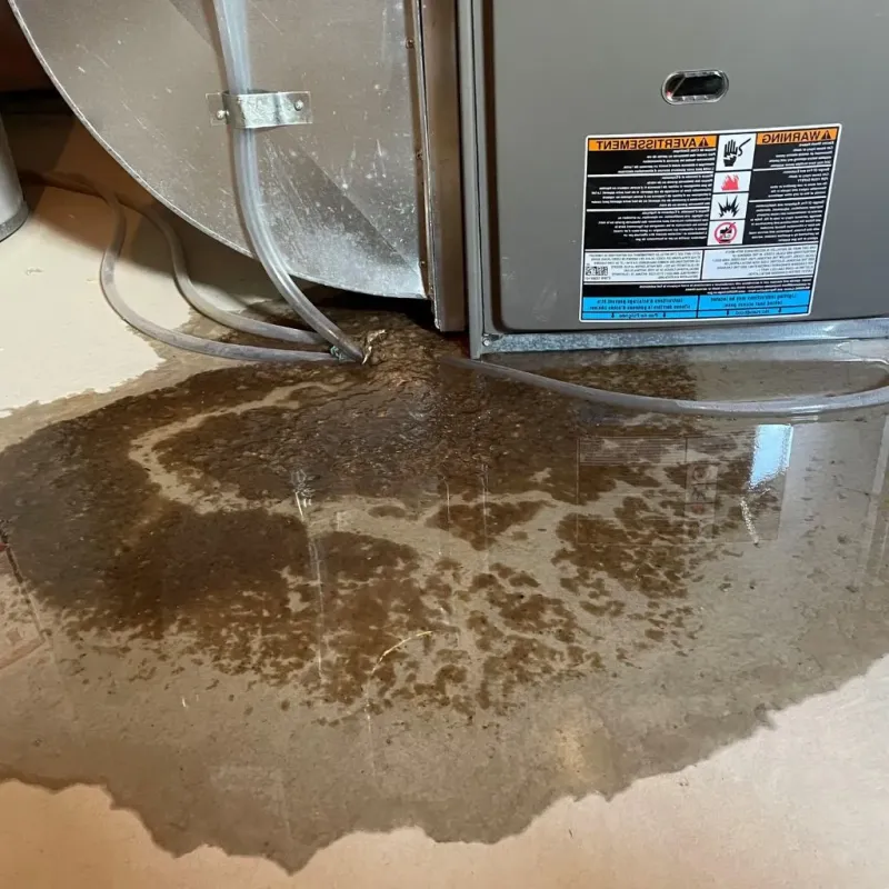 Pipe Burst and Leak Restoration in La Mesa, CA